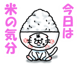 Fat Scottish Fold 3 sticker #5536533