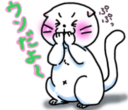 Fat Scottish Fold 3 sticker #5536539