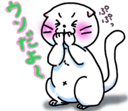 Fat Scottish Fold 3 sticker #5536539