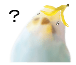 Unwind bird weather sticker #5536850