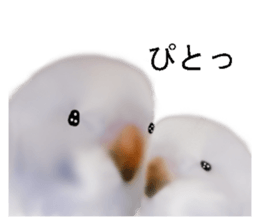 Unwind bird weather sticker #5536856