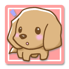 Small miniature dachshund