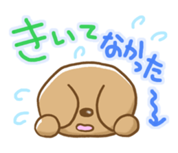 Small miniature dachshund sticker #5538744