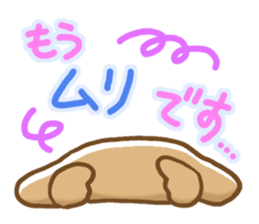 Small miniature dachshund sticker #5538745