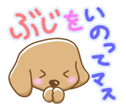 Small miniature dachshund sticker #5538766