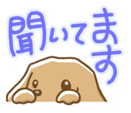 Small miniature dachshund sticker #5538772