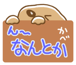 Small miniature dachshund sticker #5538774