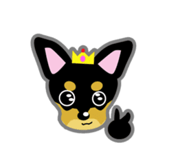 Everyday of Chihuahua sticker #5539145