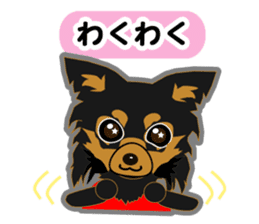 Everyday of Chihuahua sticker #5539173
