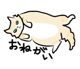 My pretty cat sticker #5544686