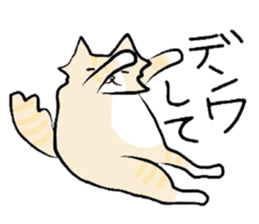 My pretty cat sticker #5544695