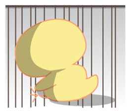 BONBON's cute & funny chick sticker #5547122