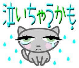 Cute nice cat message sticker #5548320
