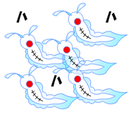 Pikaia sticker #5549370