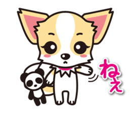 Cute Chihuahua Sticker.Spoiled child sticker #5549900