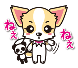 Cute Chihuahua Sticker.Spoiled child sticker #5549901