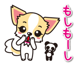 Cute Chihuahua Sticker.Spoiled child sticker #5549903