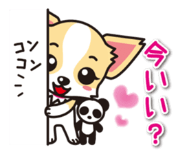 Cute Chihuahua Sticker.Spoiled child sticker #5549904