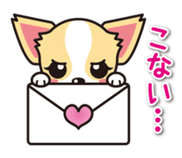 Cute Chihuahua Sticker.Spoiled child sticker #5549913