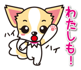 Cute Chihuahua Sticker.Spoiled child sticker #5549914