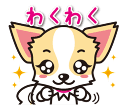 Cute Chihuahua Sticker.Spoiled child sticker #5549918