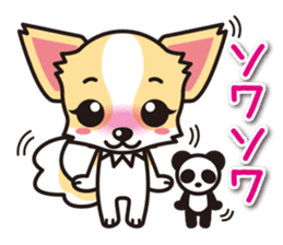 Cute Chihuahua Sticker.Spoiled child sticker #5549921