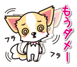 Cute Chihuahua Sticker.Spoiled child sticker #5549929