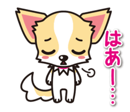 Cute Chihuahua Sticker.Spoiled child sticker #5549931