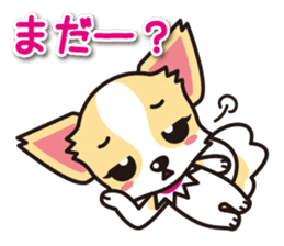 Cute Chihuahua Sticker.Spoiled child sticker #5549932