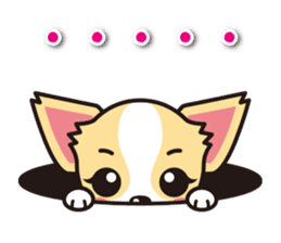 Cute Chihuahua Sticker.Spoiled child sticker #5549933