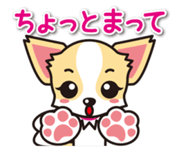 Cute Chihuahua Sticker.Spoiled child sticker #5549936