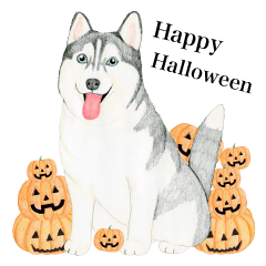 Siberian Husky Sticker (English)