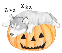 Siberian Husky Sticker (English) sticker #5550221