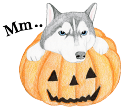 Siberian Husky Sticker (English) sticker #5550226