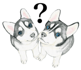 Siberian Husky Sticker (English) sticker #5550229