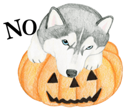 Siberian Husky Sticker (English) sticker #5550230