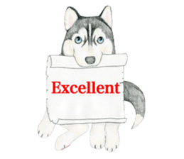 Siberian Husky Sticker (English) sticker #5550233