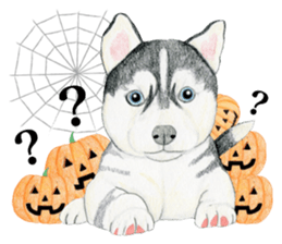 Siberian Husky Sticker (English) sticker #5550234