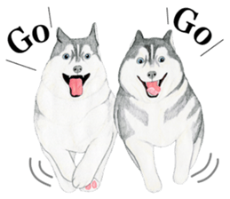 Siberian Husky Sticker (English) sticker #5550236