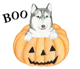 Siberian Husky Sticker (English) sticker #5550239