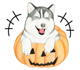 Siberian Husky Sticker (English) sticker #5550240
