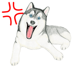 Siberian Husky Sticker (English) sticker #5550241