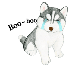 Siberian Husky Sticker (English) sticker #5550242
