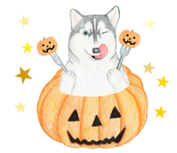 Siberian Husky Sticker (English) sticker #5550245