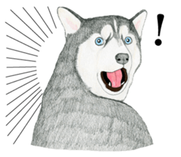 Siberian Husky Sticker (English) sticker #5550248