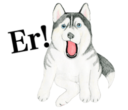 Siberian Husky Sticker (English) sticker #5550249