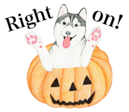 Siberian Husky Sticker (English) sticker #5550251