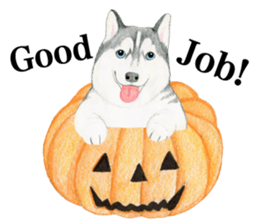 Siberian Husky Sticker (English) sticker #5550252