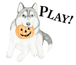 Siberian Husky Sticker (English) sticker #5550253