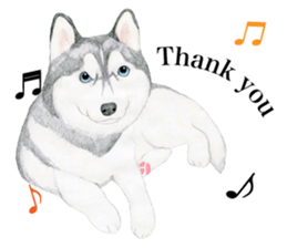 Siberian Husky Sticker (English) sticker #5550255